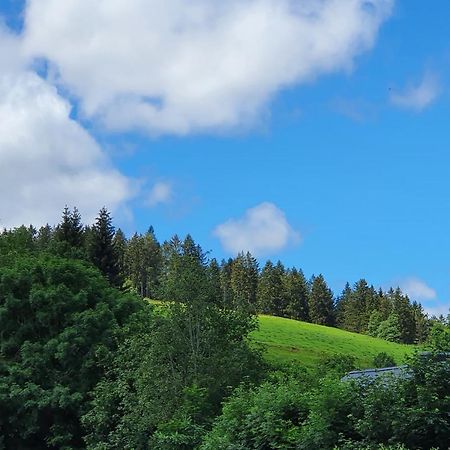 Ferienwohnung Hitz Hinterzarten Exterior foto